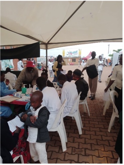 Healthcare Access & Community Sanitation activity 2